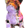 Doggy John – Image 3