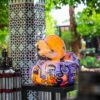Kwak le canard – Image 5