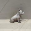 Doggy John 676 – Image 3