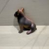 Doggy John 924 – Image 2