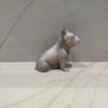 Doggy John 938 – Image 2