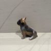 Doggy John 901 – Image 3